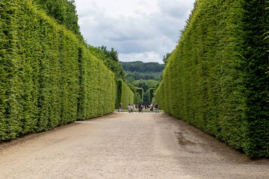 Resmi bir bahçede uzun, yeşil çitler arasında uzanan çakıllı bir patika insanlara ve bulutlu bir gökyüzünün altında daha fazla yeşilliğe yol açar Versailles Gardens, Paris.