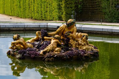 Gölette bir platformda üzümlü altın heykeller, Paris Versailles Gardens 'ın arka planında yeşil çitler.