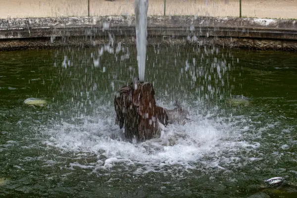Etrafı su püskürtüleri ve damlacıklarla çevrili karanlık bir heykel süsü olan çeşme. Versailles Gardens, Paris 'teki havzada yeşil renkli su var..