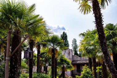 Palmiye ağaçları, parçalı bulutlu bir gökyüzüne karşı taş duvarları ve kiremit çatılı bir bina manzarası oluştururlar. Fenerler Disneyland Paris 'teki yemyeşil bitki örtüsünün arasında asılı..