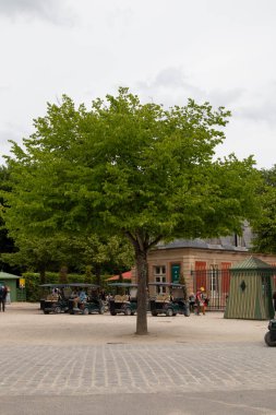 Ön planda büyük bir ağaç duruyor, golf arabaları, bir bina ve insanlar arka planda bulutlu bir gökyüzünün altında Paris, Versailles Sarayı 'nda..