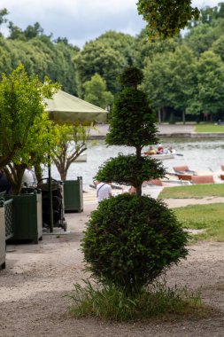 A topiary tree with a spherical base, square middle section, and spherical top sits near a waterfront with boats, tables, and trees in the background at Palace of Versailles, Paris.