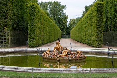 Fountain with golden statues in a pond, lined by tall hedges. A bird sits atop the central figure at Palace of Versailles, Paris.