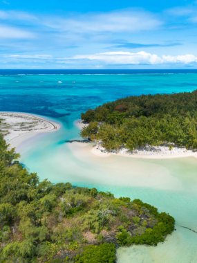 Palmiye ağaçları ve açık okyanusa açılan mavi gökyüzü olan güzel bir ada plajı. Ile Aux Cerfs, Mauritius. Kumsalın havadan görünüşü. Yukarıdan güzel tropikal okyanus sahilinin insansız hava aracı görüntüsü. Yaz güneşinde berrak mavi deniz suyu.