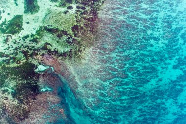Rengarenk su altı resiflerinin hava manzarası.