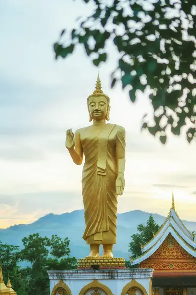 Függőleges Fotó Gyönyörű Buddha Kép Naplementekor Északon Laosz — Stock Fotó