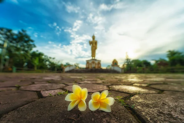 Önünde Frangipani çiçekleri olan güzel bir Buda resmi..