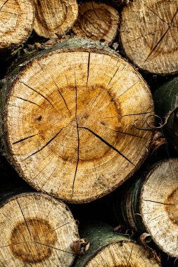 kiraz kesme kütükleri dokusuna