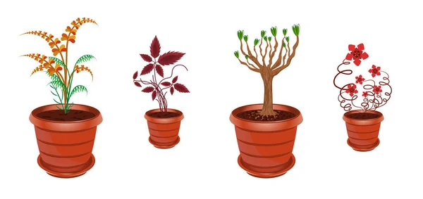 Coleção Plantas Tipos Plantas Ilustração Vetorial — Vetor de Stock
