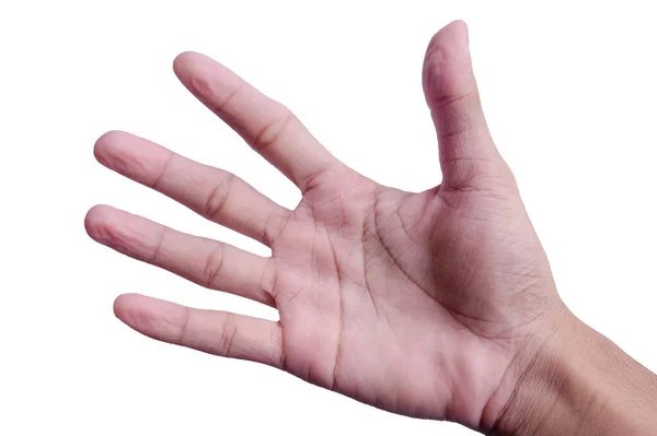 Mãos Enrugadas Exposição Fria Demasiado Longa Água — Fotografia de Stock
