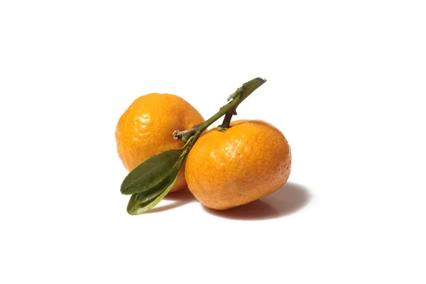 Orange Fruit Leaf Isolated White Background — Stock Photo, Image