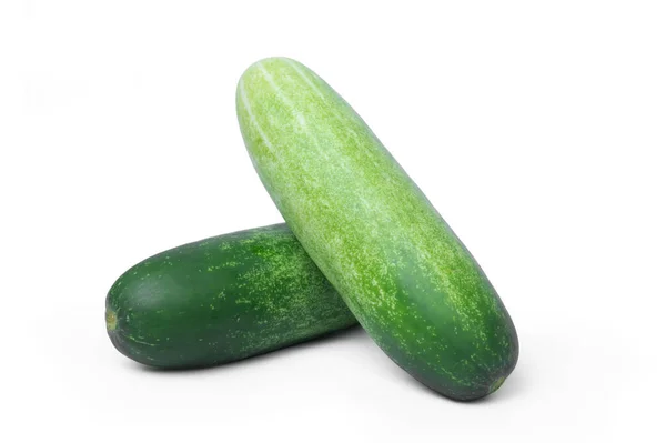 Okurka Zelenina Izolované Bílém Pozadí — Stock fotografie