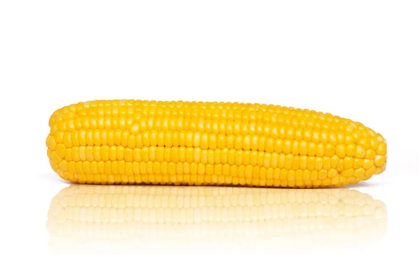 Maïs Geïsoleerd Witte Achtergrond — Stockfoto