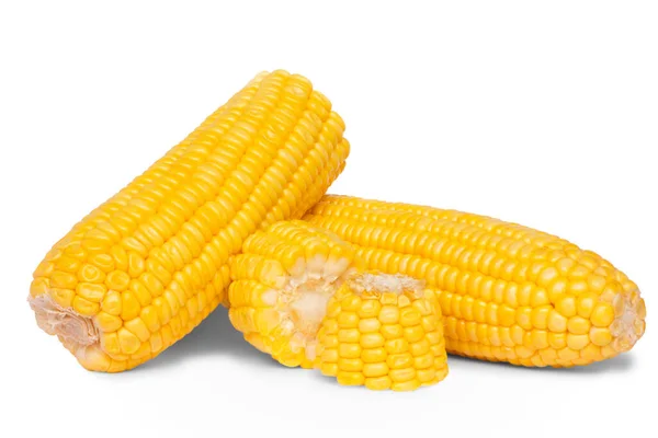 Corn Isolated White Background — Stock Photo, Image