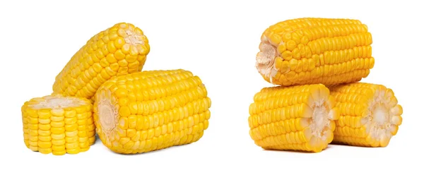 Кукуруза Изолирована Белой Спине — стоковое фото