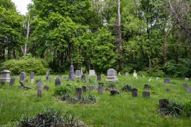 Saklı Sığınak: Pennsylvania Ormanının Yeşil Yeşillikleri Ortasında Eski Bir Mezarlık