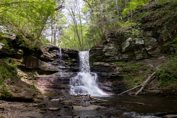 Nature Symphony Northeast Waterfall Cascading Rocks Amidst Lush Green Foliage — Stock Photo, Image
