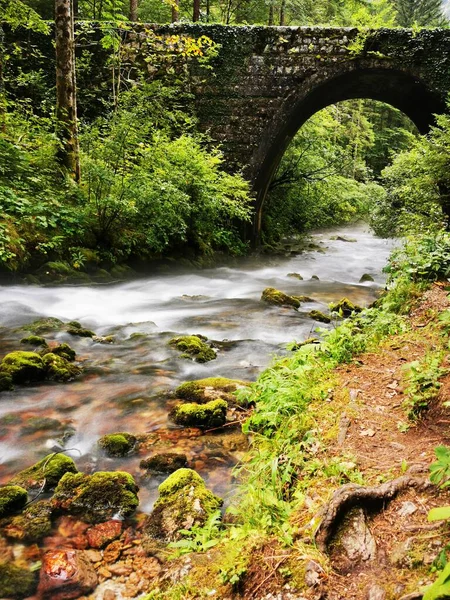 stock image Stone bridge over the river in Slovenian mountains