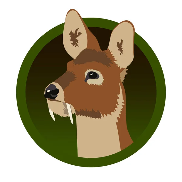 Realistic Musk Deer Head Illustration — Stock Vector