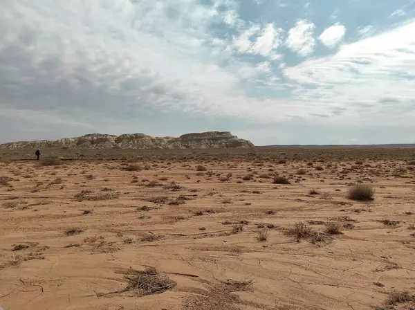 Kazakistan 'da kayalar ve dağlarla dolu çöl manzarası