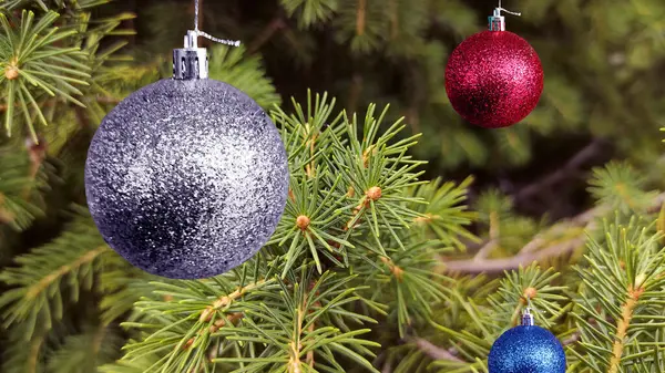 köknar dalında güzel noel süslemesi