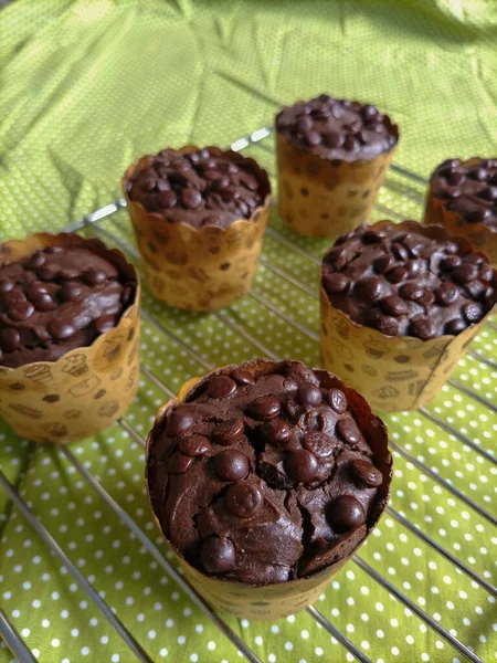 homemade chocolate muffins with chocolate chips