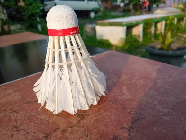 Shuttlecock badminton 'da kullanılan bir top.