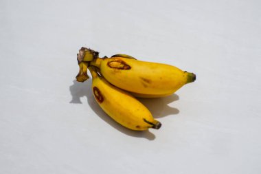 Masada taze muz var..