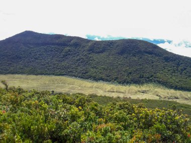 Dağların güzel manzarası