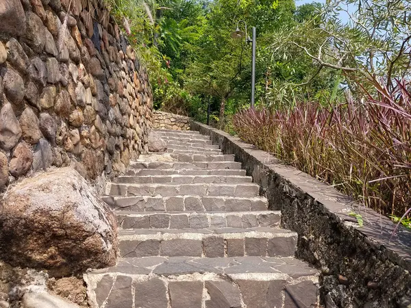 Merdivenler ve merdivenler bahçede.