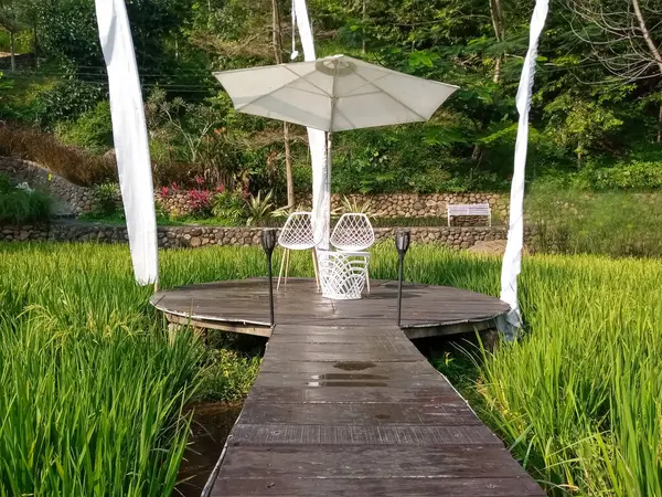 Güzel göl manzarası