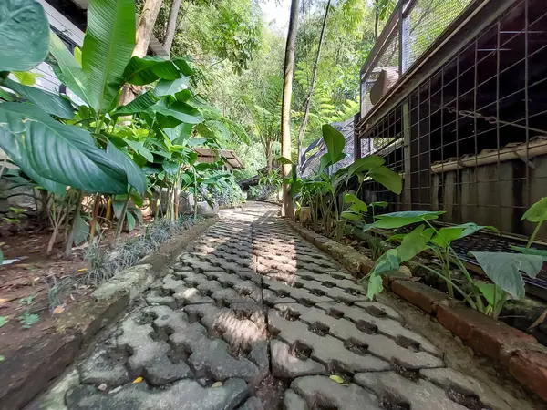 Ormanda ahşap merdivenler