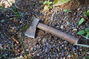 Ağacın yanında yerde duran tahta bir balta.