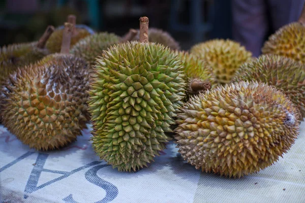 Durian meyveleri Bogor bölgesinde, Batı Java, Endonezya, Güneydoğu Asya ve Asya 'da yerel pazarlarda satılmaktadır.