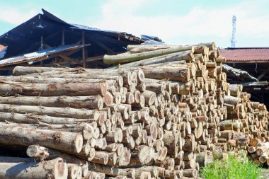 Ev için odun yığını.