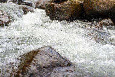 Karpat dağlarındaki dağ nehri