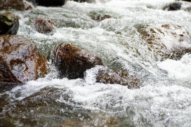 Dağlardaki dağ nehri