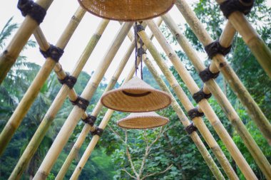 Ormanda asılı bambu ipi