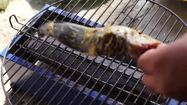 Peixes Gato São Dados Com Especiarias Especiais Grelhadas Colocadas Uma — Vídeo de Stock