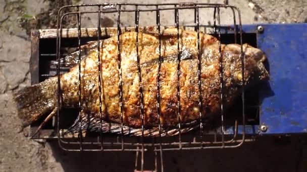 特別なスパイスを与えられたティラピアの魚は トレイに焼き 置かれます 美味しくて新鮮に見える — ストック動画