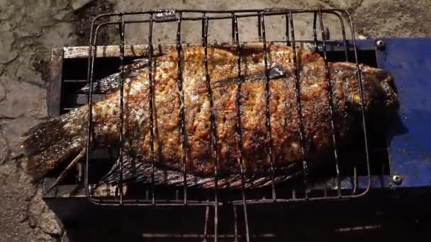 被给予特殊调味品的罗非鱼被烤好放在盘子里 看起来又好吃又新鲜 — 图库视频影像