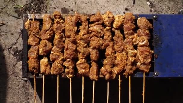 Rundvlees Saté Gegrild Gegeven Speciale Kruiden Ziet Heerlijk Smakelijk — Stockvideo