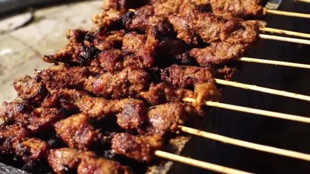 Carne Res Satay Parrilla Con Especias Especiales Delicioso Apetitoso — Vídeos de Stock