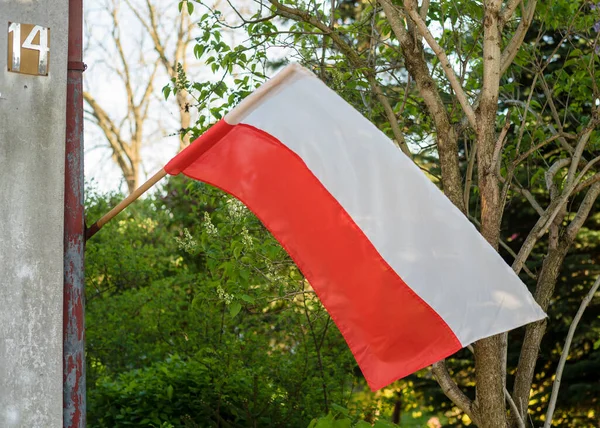 Bialystok, Polonya - Mayıs 2023: Eski bir evde Polonya bayrağı