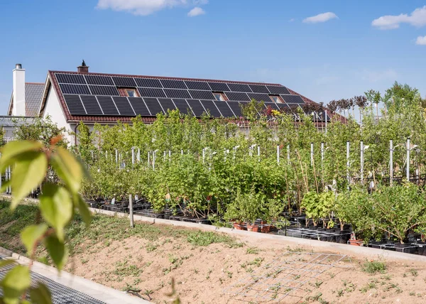 Organic greenhouse farm. Solar panels, energy saving, eco friendly organic farm.  Plants.