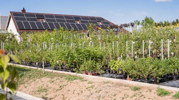 Organic greenhouse farm. Solar panels, energy saving, eco friendly organic farm.  Plants.