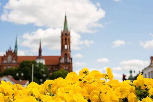 Poland Bialystok June 2023 Cathedral Church Assumption Blessed Virgin Mary — Stock Photo, Image