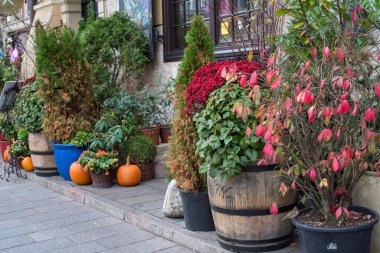 Cadılar Bayramı Dekorasyonu. Sonbahar Ev Dekorasyonları Dışarıda