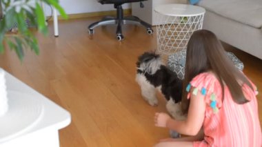 Küçük kız köpekle oynuyor. Aile evde köpekle eğleniyor.