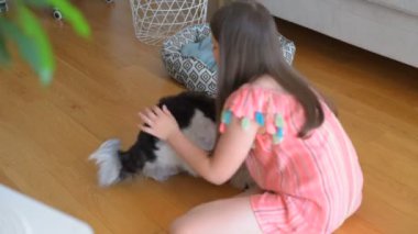 Küçük kız köpekle oynuyor. Aile evde köpekle eğleniyor.
